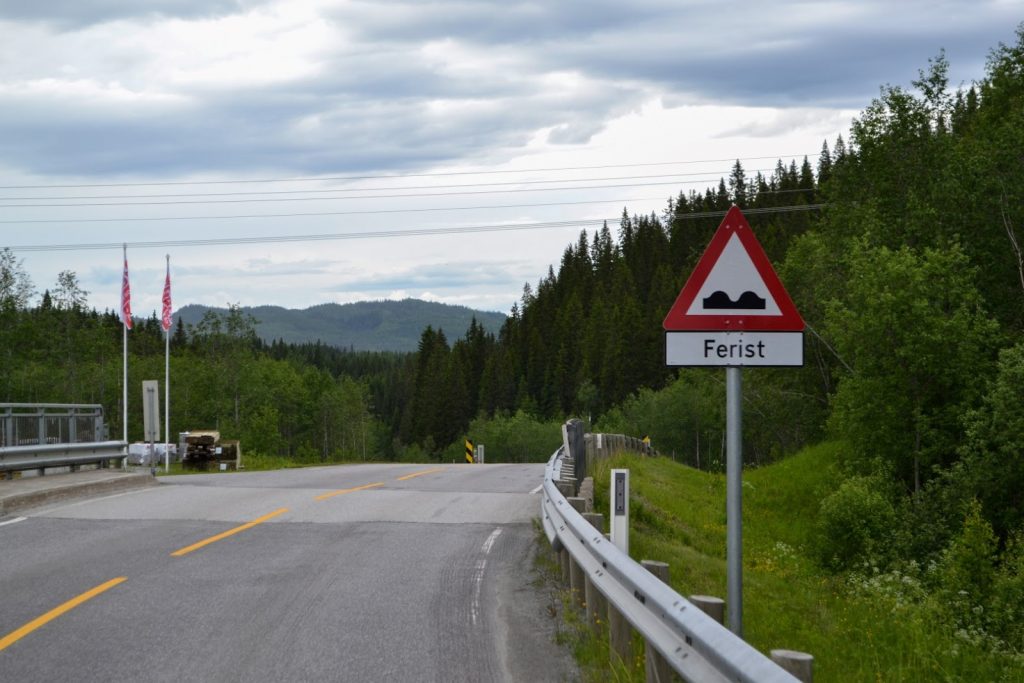 Norwegen Schaf Straße Ferist